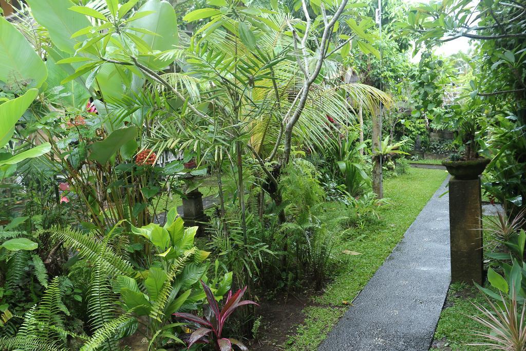 Karang Mesari Ubud Guest House מראה חיצוני תמונה