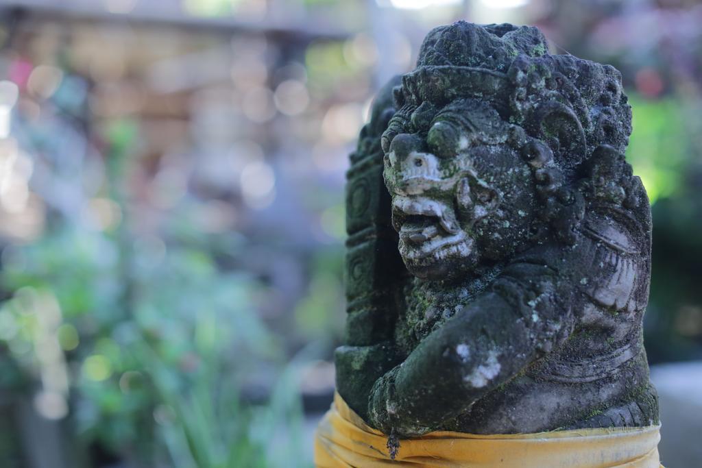 Karang Mesari Ubud Guest House מראה חיצוני תמונה