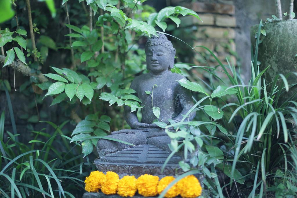 Karang Mesari Ubud Guest House מראה חיצוני תמונה