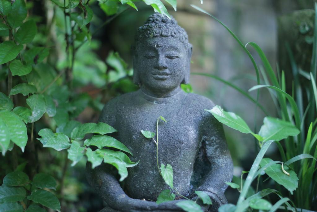 Karang Mesari Ubud Guest House מראה חיצוני תמונה