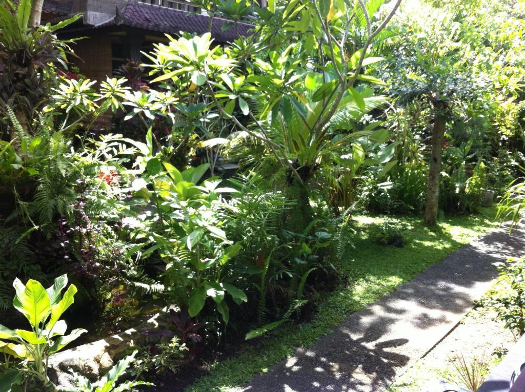 Karang Mesari Ubud Guest House מראה חיצוני תמונה