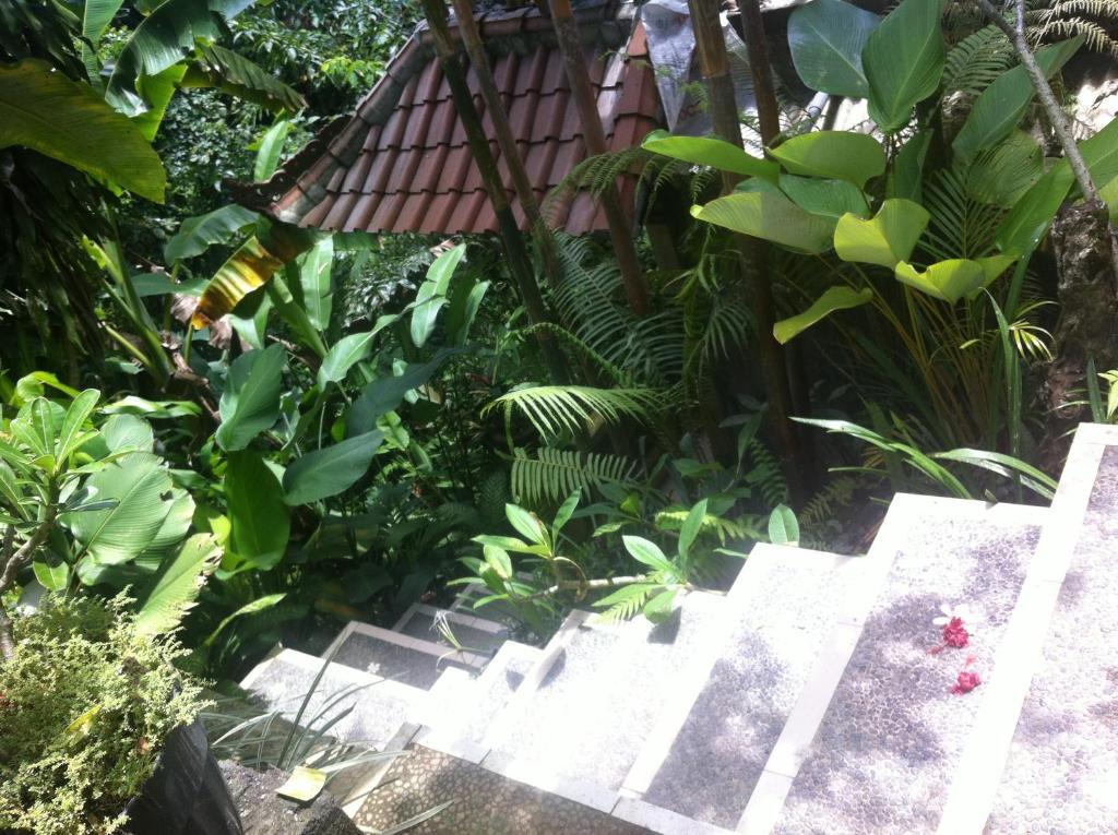 Karang Mesari Ubud Guest House מראה חיצוני תמונה