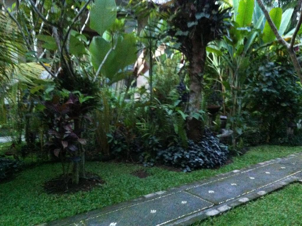 Karang Mesari Ubud Guest House מראה חיצוני תמונה